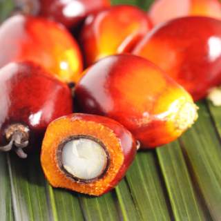 Organic Palm Oil