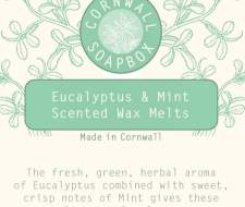 Eucalyptus & Mint Wax Melt