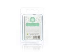 Eucalyptus & Mint Wax Melt