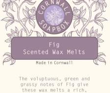 Fig Wax Melt