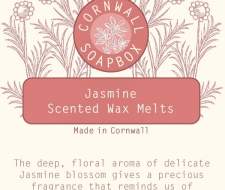 Jasmine Wax Melt