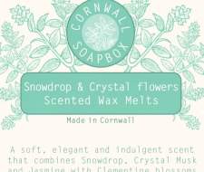 Snowdrop & Crystal Flowers Wax Melt