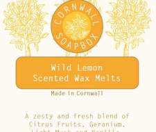 Wild Lemon Wax Melt